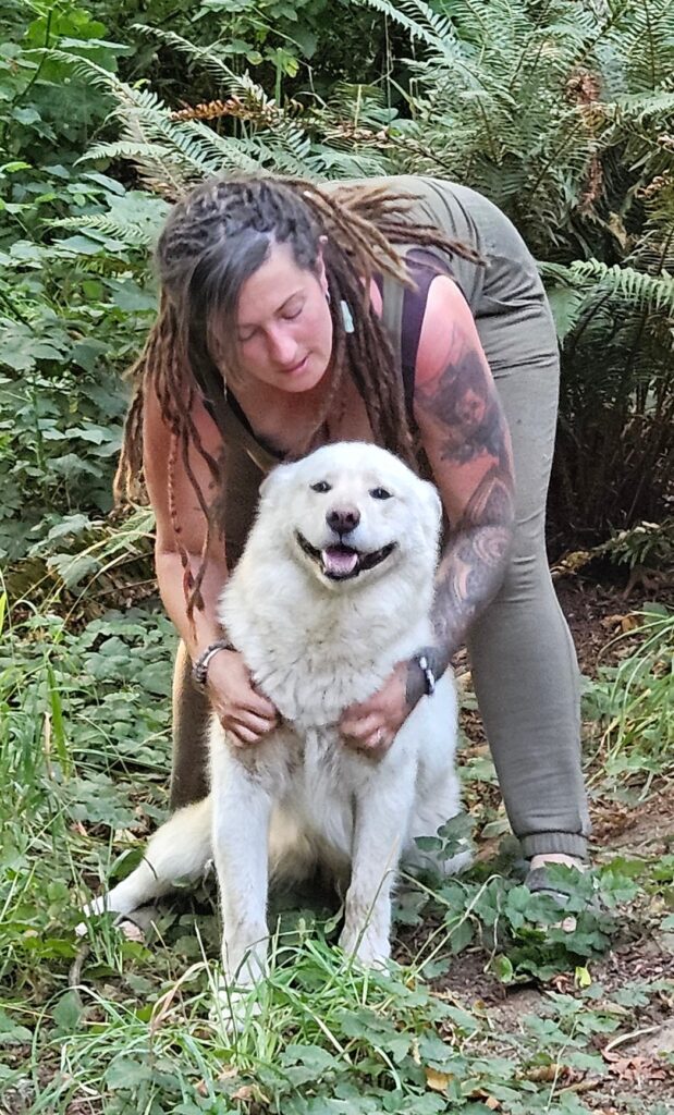 9d8089e1-386d-4796-a6dc-b178067d5706~1_312230224127140 - Happy Meadows Alaskan Malamutes